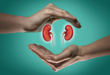 Urologia
